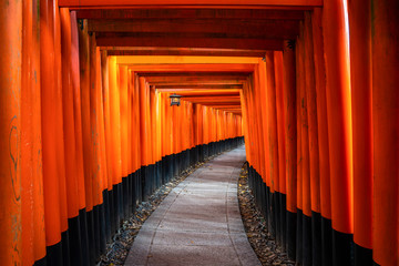 Thousand of red  torii gates along walkway in fushimi inari taisha temple is Important Shinto shrine and located in kyoto japan. Japan tourism, nature life, or landscape most visited tourist.