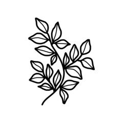 Hand drawn monochrome plant, leaf, and foliage element for wedding invitation, logo, engagement, or botanical logo