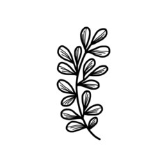 Hand drawn monochrome plant, leaf, and foliage element for wedding invitation, logo, engagement, or botanical logo