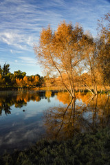 Wispy Clouds and Beautiful Foliage