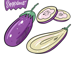 Eggplant vegetable. Hand drawn vector illustration in cartoon style. Isolated on white background.