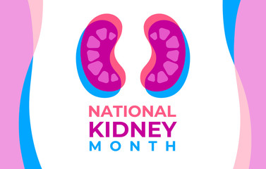 The National Kidney Month vector illustration. Banner, poster for prevention of kidney diseases. Two human kidneys in an abstract trend style. American educational campaign.