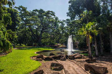 Fountain in a park or garden in a tropical setting. George Brown botanical Gardens Darwin, Northern...