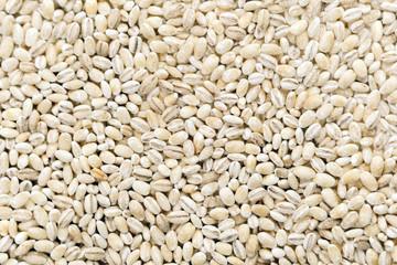 Dry pearl barley grain seed close up textured background, top view