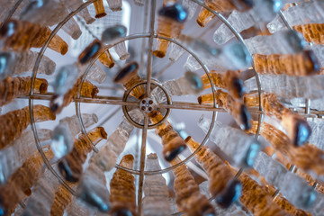 FUNCHAL, MADEIRA, PORTUGAL