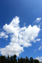 雲　夏雲　積乱雲　入道雲　空　青空　夏空
