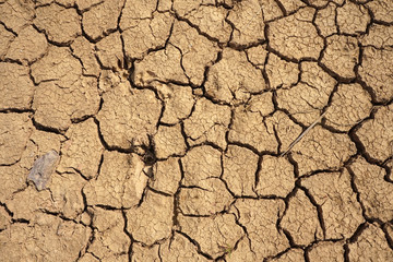dry cracked earth