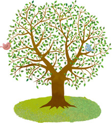 大木：自然　木　樹木　大木　木々　枝　緑　葉っぱ　新緑　深緑　小鳥