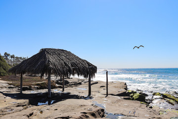 California Surf Shack