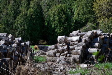 pile up of wood logs