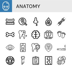 anatomy icon set