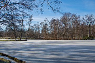 Winter view over the park on the Drottningholm island in Stockholm, frozen ponds and naked trees in a pale winter sun shine.