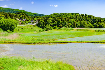 五月の田園風景、富山県氷見市長坂にて