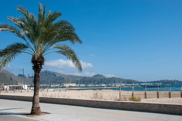 Fototapeta na wymiar Einsamer Strand von Port de Pollenca auf spanischer Insel Mallorca im Frühling