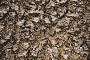 Dried floor texture , drought concept