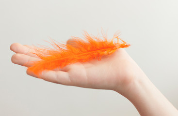 Child's hand holding orange feather over white background