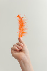 Child's hand holding orange feather over white background