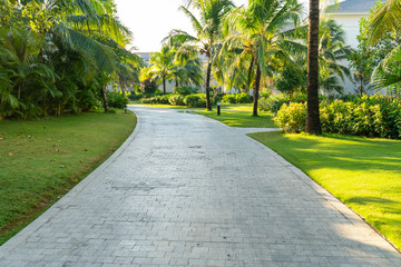 Road in holiday resort with green trees, grass and early sunlight