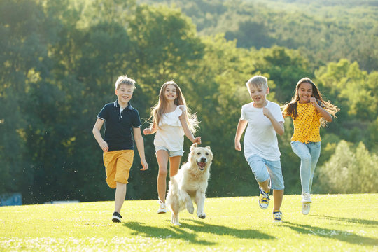 Children Playing With A Dog In Nature.