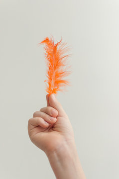Child's hand holding orange feather over white background
