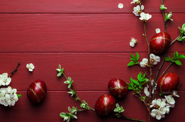 Easter eggs and spring white flowers on Easter red wood background with copy space