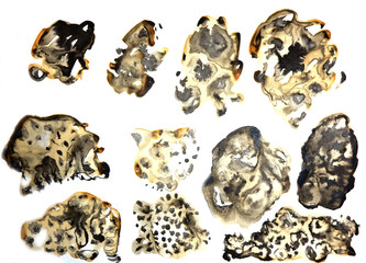 a set of watercolor patterns for coloring the skins of big cats