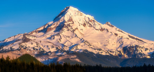 Sun light on Mt Hood - Oregon Mountain