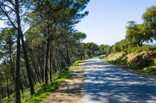 Parque Narural Montes de Malaga, Andalusia, Spain, Europe