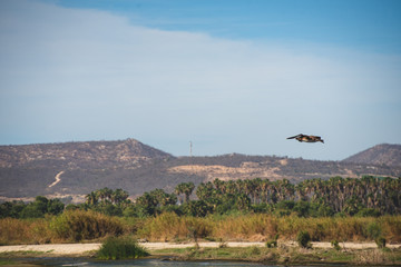 Saint Joseph of the Cape is the seat of Los Cabos Municipality, it's located at the end of the Baja California peninsula