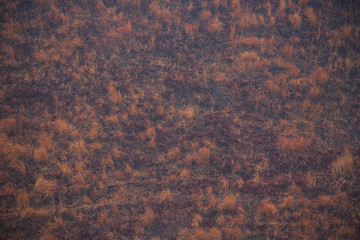 野焼き後の山肌