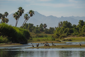 Beautiful Landscape View Portrait taken at 
