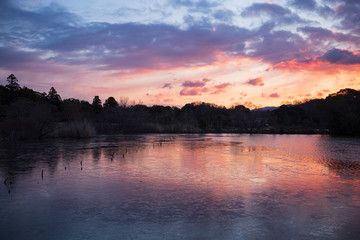 凍る池と朝焼けの風景