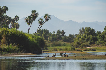 Beautiful Landscape View Portrait taken at 