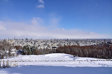 Sapporo cityscape in winter