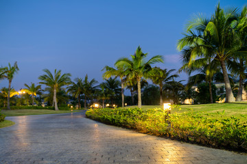 Illuminated light in resort park at night with palm trees on background