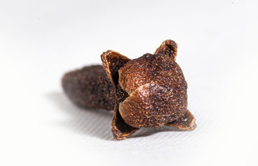 Spicy Clove isolated on white background - Dry cloves