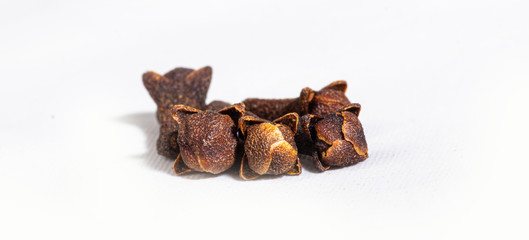 Spicy Clove isolated on white background - Dry cloves