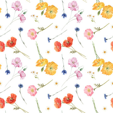 Beautiful vector floral summer seamless pattern with watercolor hand drawn field wild flowers. Stock illustration.