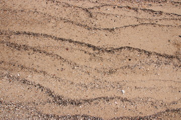sand fossil shell on the beach, Texture lines of sand on the beach