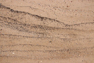 sand fossil shell on the beach, Texture lines of sand on the beach