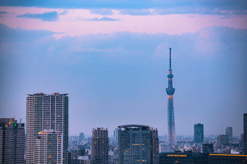 豊洲のビル群と東京スカイツリー　夕景