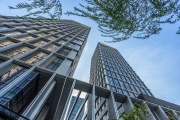 modern office building with green trees.