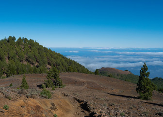 Volcanic landscape with lush green pine trees, colorful volcanoes and lava rock field along path Ruta de los Volcanes, hiking trail at La Palma island, Canary Islands, Spain, Blue sky background