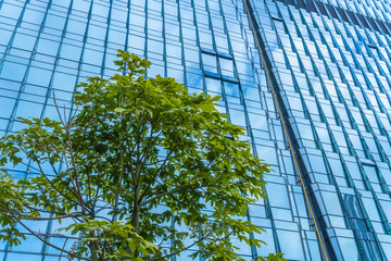 modern office building with green trees.