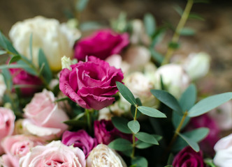 beautiful background with bright natural flowers, purple eustoma flower,