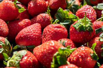 Fraises en vrac