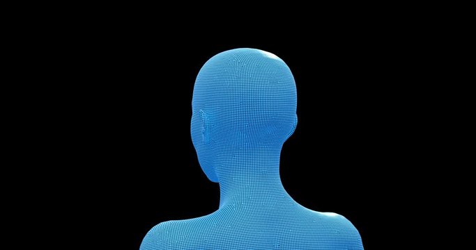 Woman, Female 3D Wireframe Model, Seamless Loop, Transparent  with Alpha