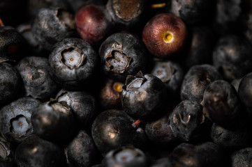 fresh blueberries 