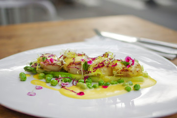 Seared scallops with cream sauce, shreded purple cabbage, grilled green peas and asparagus in white triangle plate on wooden table