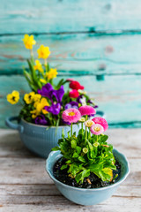 Decoration with spring flowers. Happy Easter.